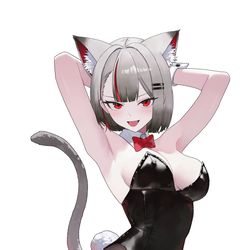 This is a pixiv picture whose title is 🐈🐈.