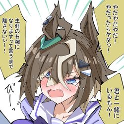 This is a pixiv picture whose title is やだやだルラシ.