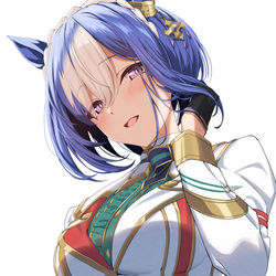 This is a pixiv picture whose title is シーザリオ.