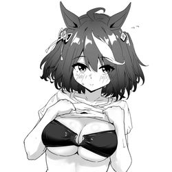 This is a pixiv picture whose title is キタちゃん水着.