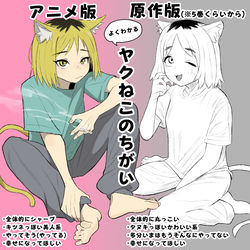 This is a pixiv picture whose title is ヤクねこのアニメと漫画の違い.