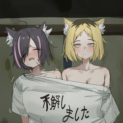 This is a pixiv picture whose title is ヤクねこ&ハメねこ.