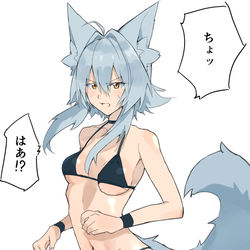 This is a pixiv picture whose title is 椛！人気投票期間だよ！早く水着に！.