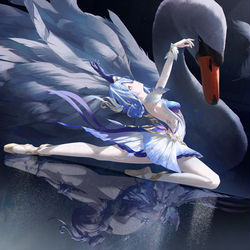 This is a pixiv picture whose title is 画了小天鹅.