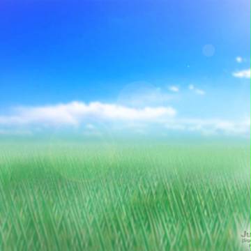 grassland