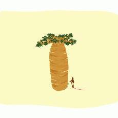 baobab