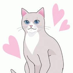 理想の猫