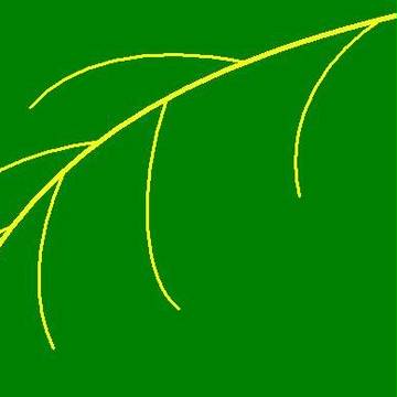 道を辿れば