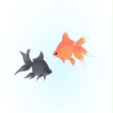 金魚