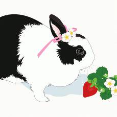 うさいちご