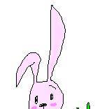 うさぎ