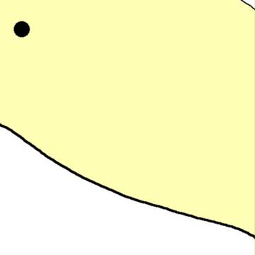 オリゼー の アップ