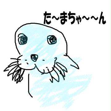 たまちゃん