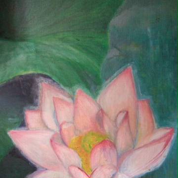 蓮の花