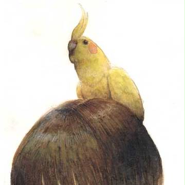 ボノローチ・那須恵