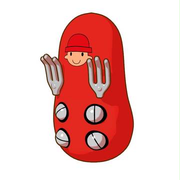 サッチー