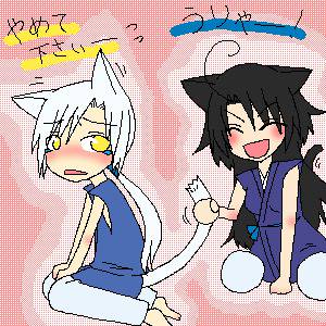 にゃんこの日