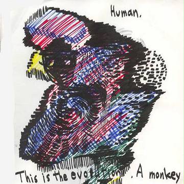Human　２