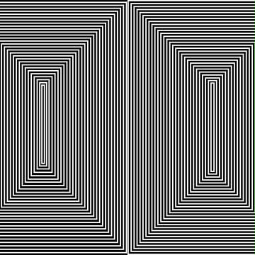 白黒