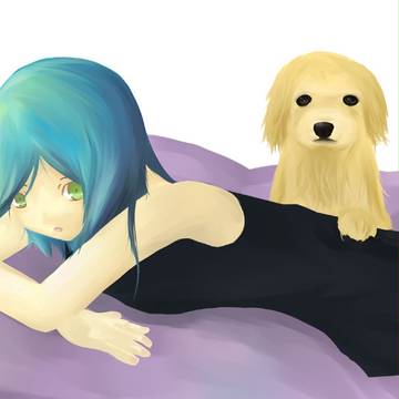 きょうのわんこ