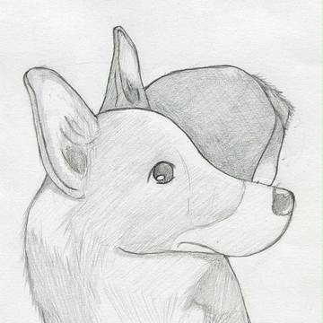 犬。