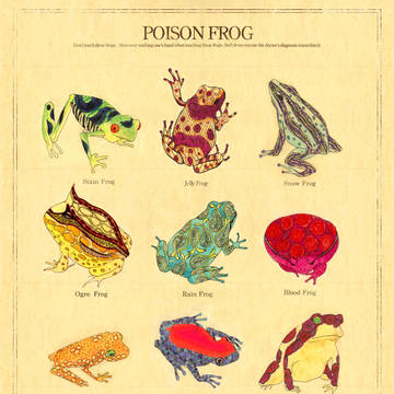 Poison Frog