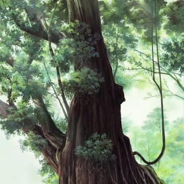 大樹