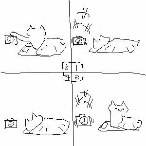 （・ω・）