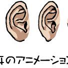 色々な角度から見た耳