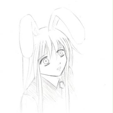 月兎の波動