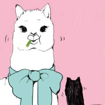 アルパカ2