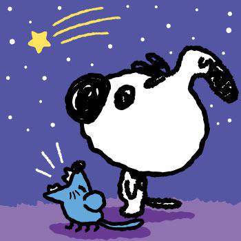 夜空の星