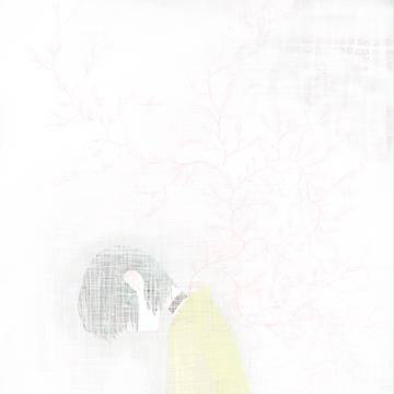 　　の樹