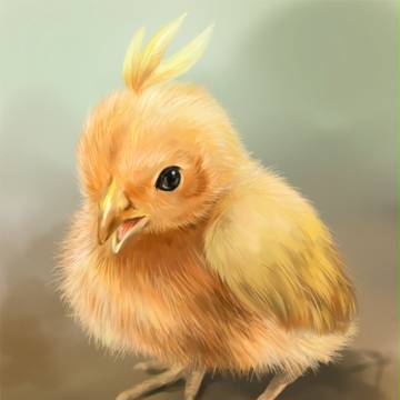 オレンジ色のヒヨコ