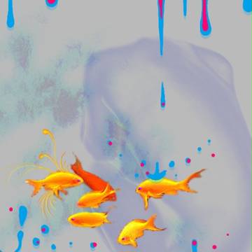 金魚