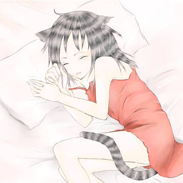 ベットを占領した猫娘