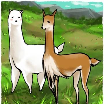憧れのビクーニャさん