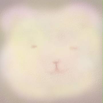 ほわくま