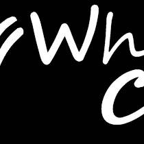 White Cat