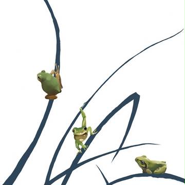 four frogs