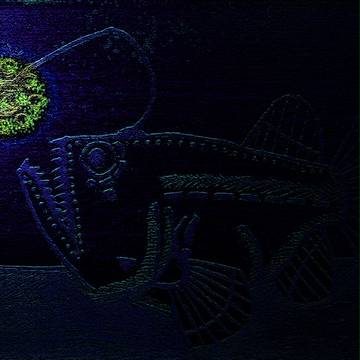 Light in Darkness / 灯