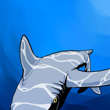 シャーク