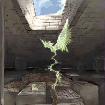 栽培