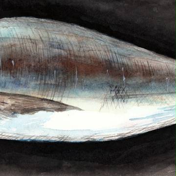 魚