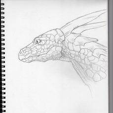 ドラゴンの頭