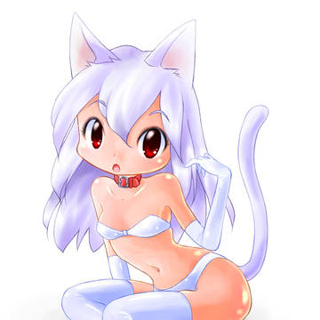 ねこみみさん