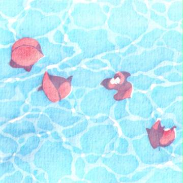 水に浮かぶ花