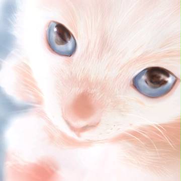 うちのねこ