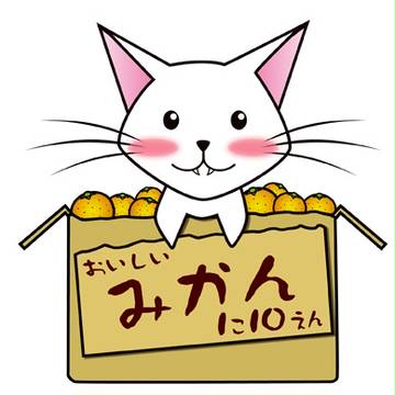 みかん猫