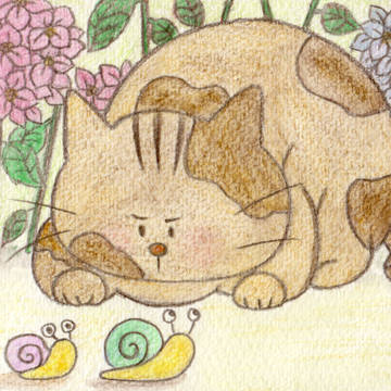 猫